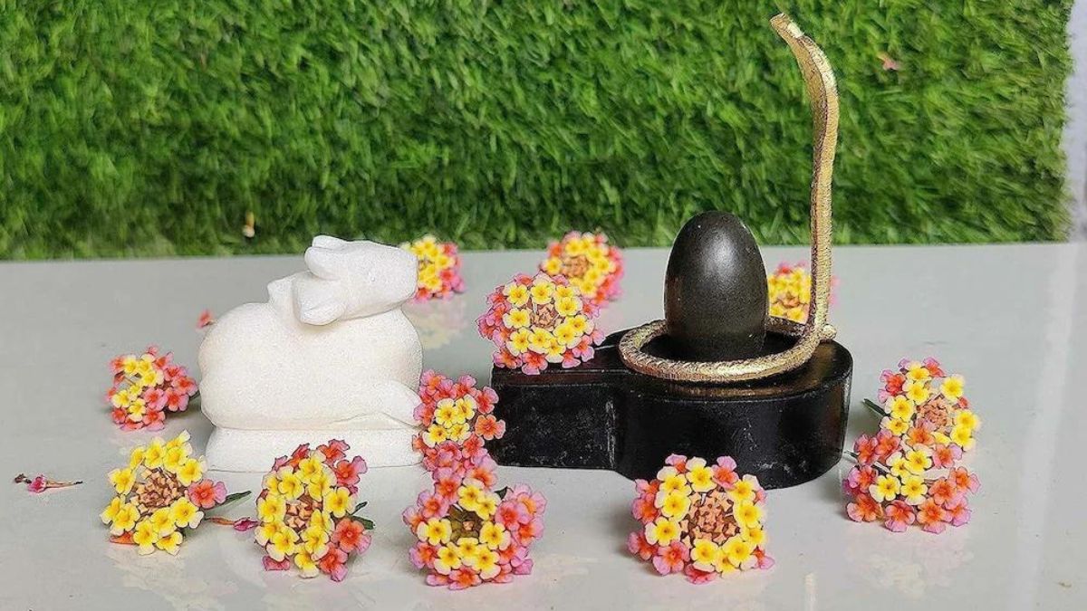 Shivling-kya-chadhaye